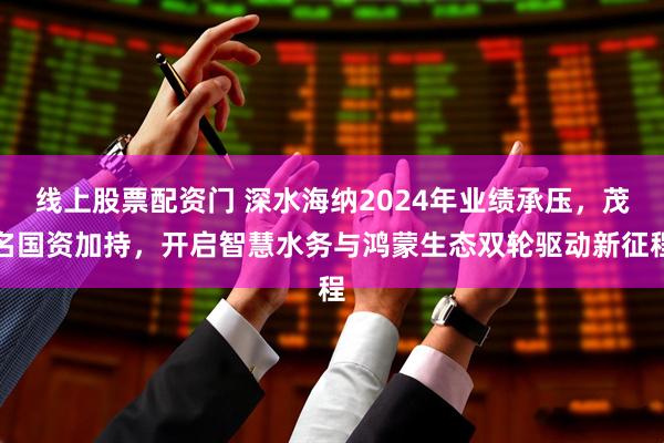 线上股票配资门 深水海纳2024年业绩承压，茂名国资加持，开启智慧水务与鸿蒙生态双轮驱动新征程