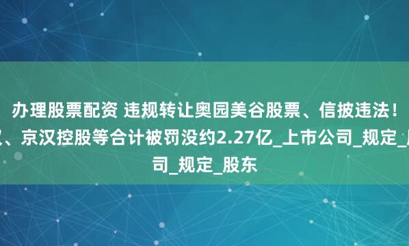 办理股票配资 违规转让奥园美谷股票、信披违法！田汉、京汉控股等合计被罚没约2.27亿_上市公司_规定_股东