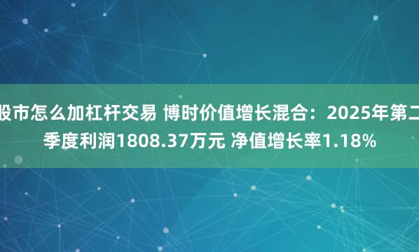 股市怎么加杠杆交易 博时价值增长混合：2025年第二季度利润1808.37万元 净值增长率1.18%