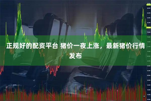 正规好的配资平台 猪价一夜上涨，最新猪价行情发布