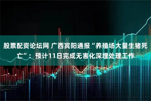 股票配资论坛网 广西宾阳通报“养殖场大量生猪死亡”：预计11日完成无害化深埋处理工作